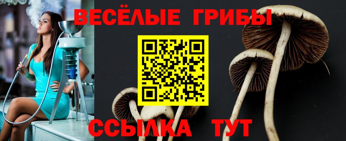 Екатеринбург  Галлюциногенные грибы мицелий  Вход с VPN 